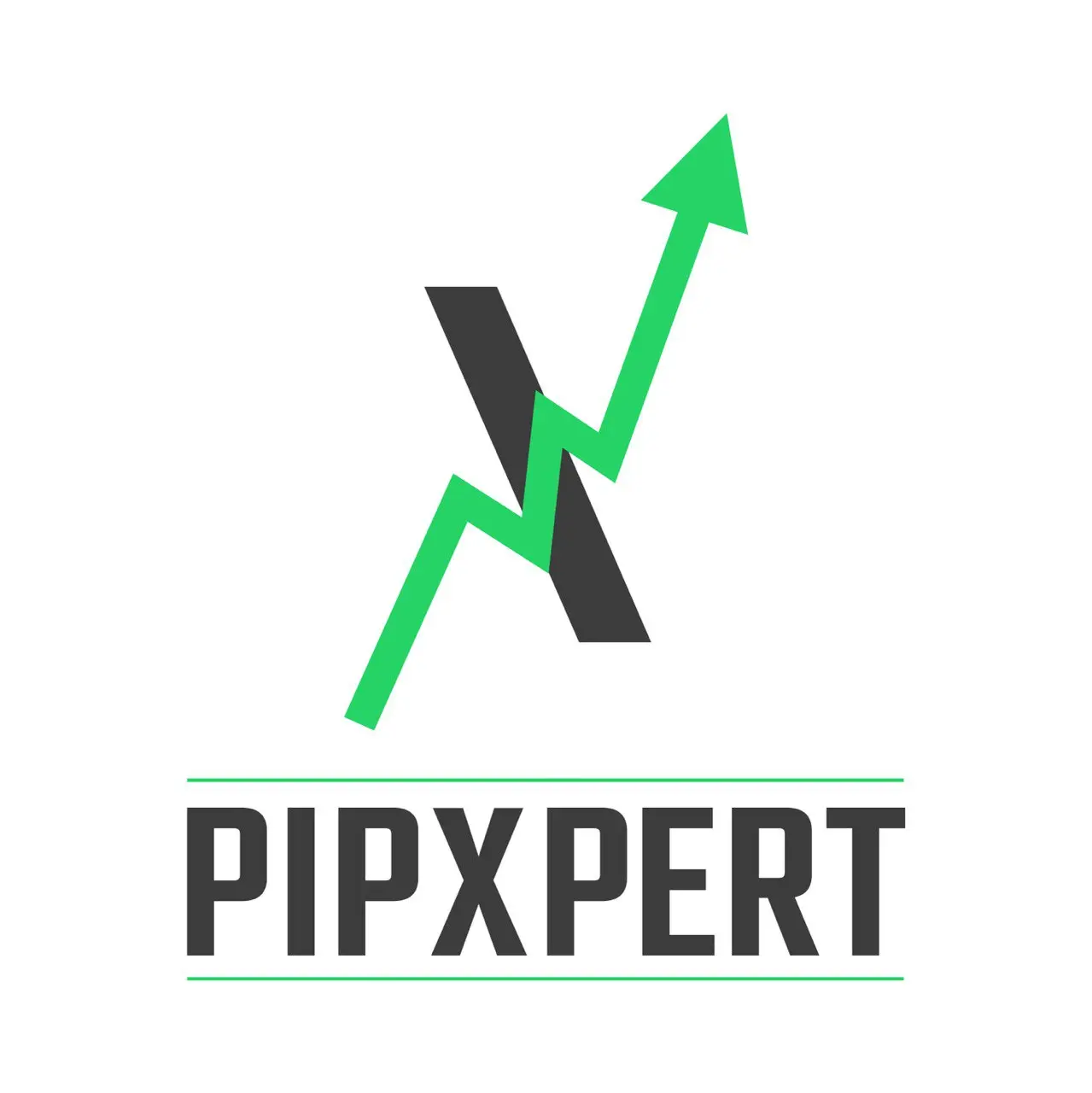 pipxpert logo