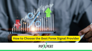 How to Choose the Best Forex Signal Provider