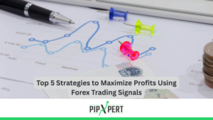 Top 5 Strategies to Maximize Profits Using Forex Trading